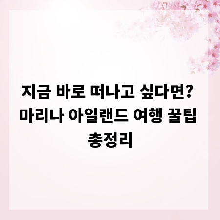 지금 바로 떠나고 싶다면? 마리나 아일랜드 여행 꿀팁 총정리