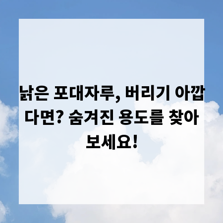 낡은 포대자루, 버리기 아깝다면? 숨겨진 용도를 찾아보세요!