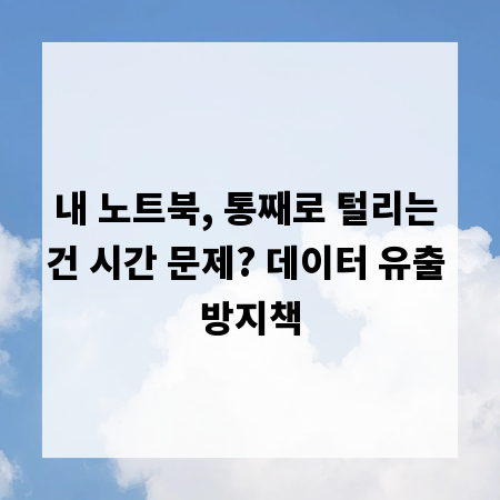 내 노트북, 통째로 털리는 건 시간 문제? 데이터 유출 방지책