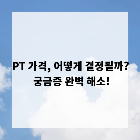 PT 가격, 어떻게 결정될까? 궁금증 완벽 해소!