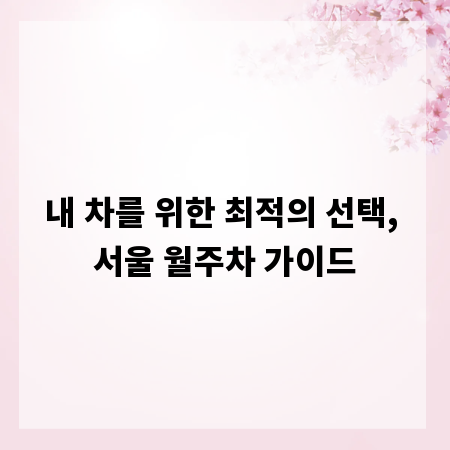 내 차를 위한 최적의 선택, 서울 월주차 가이드