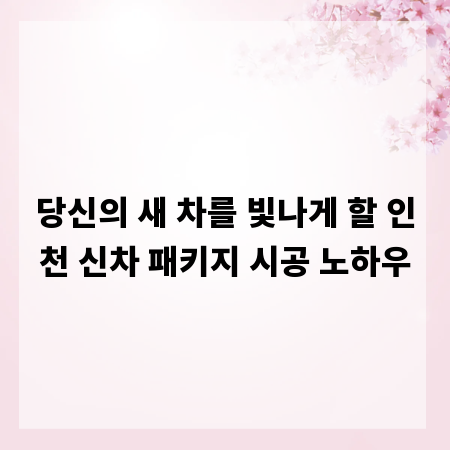 당신의 새 차를 빛나게 할 인천 신차 패키지 시공 노하우