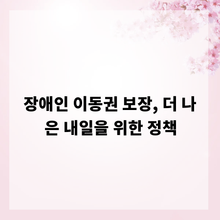 장애인 이동권 보장, 더 나은 내일을 위한 정책
