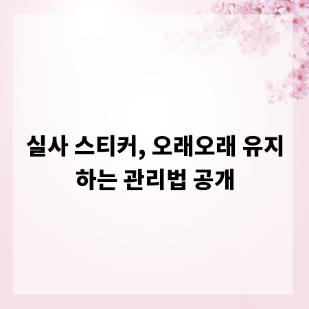 실사 스티커, 오래오래 유지하는 관리법 공개