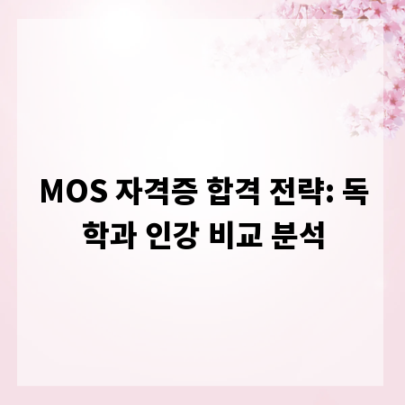 MOS 자격증 합격 전략: 독학과 인강 비교 분석
