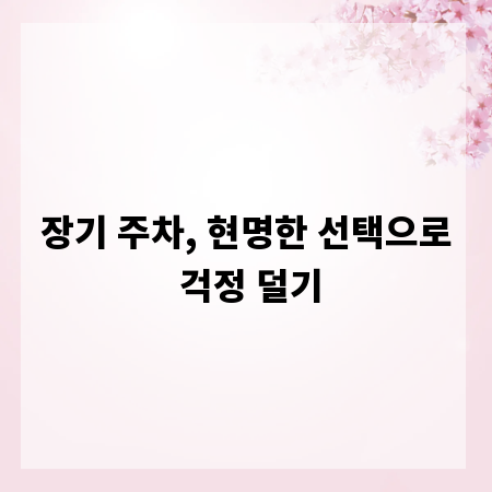 장기 주차, 현명한 선택으로 걱정 덜기