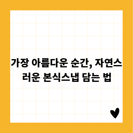 가장 아름다운 순간, 자연스러운 본식스냅 담는 법