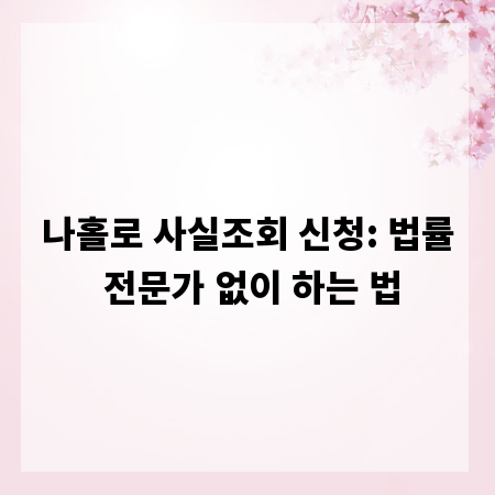 나홀로 사실조회 신청: 법률 전문가 없이 하는 법