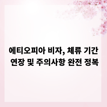 에티오피아 비자, 체류 기간 연장 및 주의사항 완전 정복