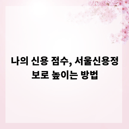 나의 신용 점수, 서울신용정보로 높이는 방법