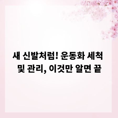 새 신발처럼! 운동화 세척 및 관리, 이것만 알면 끝