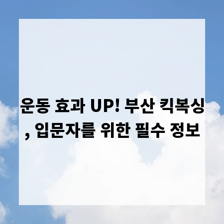 운동 효과 UP! 부산 킥복싱, 입문자를 위한 필수 정보
