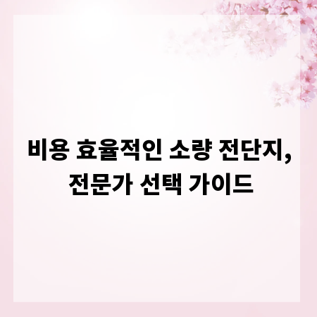 비용 효율적인 소량 전단지, 전문가 선택 가이드