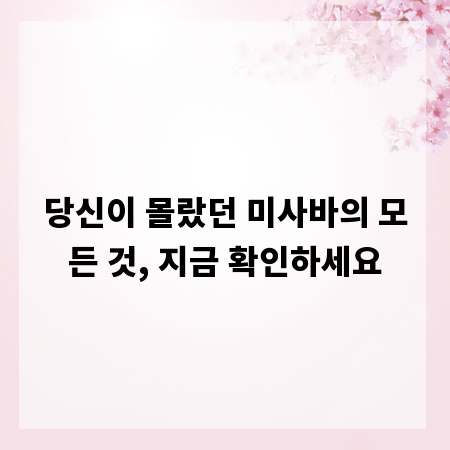 당신이 몰랐던 미사바의 모든 것, 지금 확인하세요