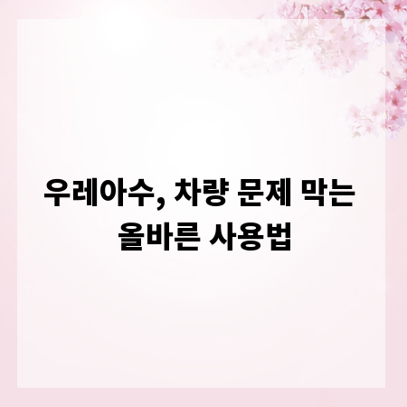 우레아수, 차량 문제 막는 올바른 사용법