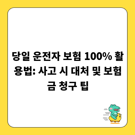 당일 운전자 보험 100% 활용법: 사고 시 대처 및 보험금 청구 팁