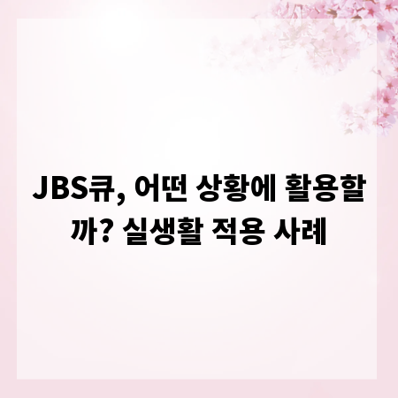 JBS큐, 어떤 상황에 활용할까? 실생활 적용 사례