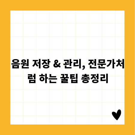 음원 저장 & 관리, 전문가처럼 하는 꿀팁 총정리