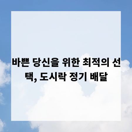 바쁜 당신을 위한 최적의 선택, 도시락 정기 배달