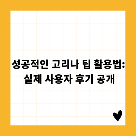 성공적인 고리나 팁 활용법: 실제 사용자 후기 공개