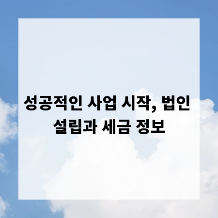 성공적인 사업 시작, 법인 설립과 세금 정보