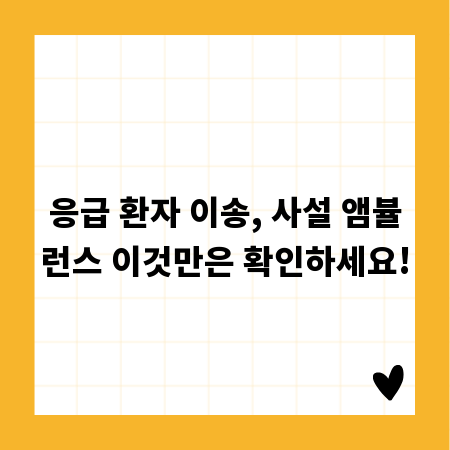 응급 환자 이송, 사설 앰뷸런스 이것만은 확인하세요!