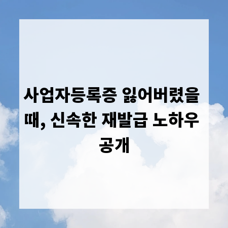 사업자등록증 잃어버렸을 때, 신속한 재발급 노하우 공개