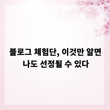 블로그 체험단, 이것만 알면 나도 선정될 수 있다