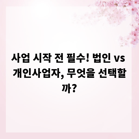 사업 시작 전 필수! 법인 vs 개인사업자, 무엇을 선택할까?