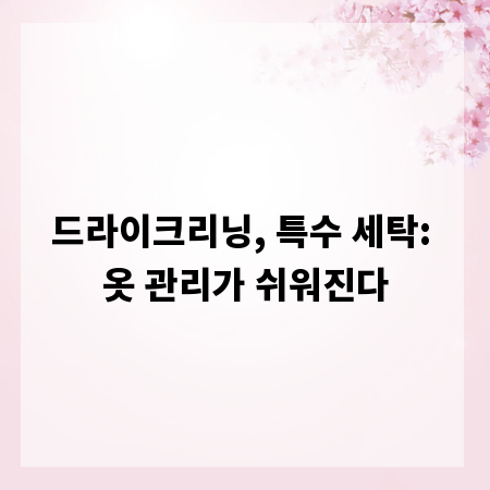 드라이크리닝, 특수 세탁: 옷 관리가 쉬워진다