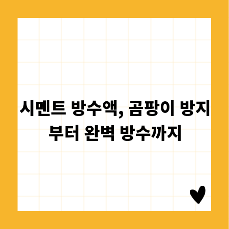 시멘트 방수액, 곰팡이 방지부터 완벽 방수까지