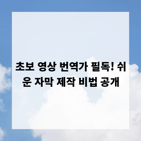 초보 영상 번역가 필독! 쉬운 자막 제작 비법 공개