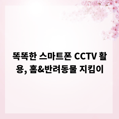 똑똑한 스마트폰 CCTV 활용, 홈&반려동물 지킴이