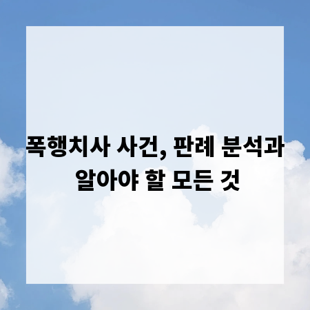 폭행치사 사건, 판례 분석과 알아야 할 모든 것