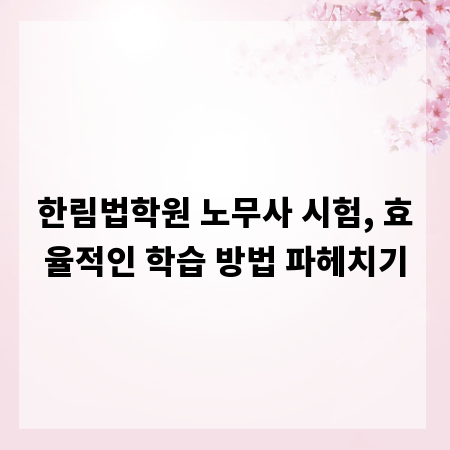 한림법학원 노무사 시험, 효율적인 학습 방법 파헤치기