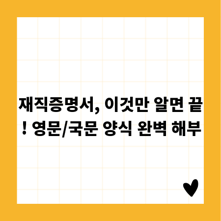 재직증명서, 이것만 알면 끝! 영문/국문 양식 완벽 해부