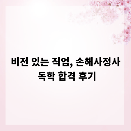 비전 있는 직업, 손해사정사 독학 합격 후기