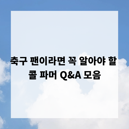 축구 팬이라면 꼭 알아야 할 콜 파머 Q&A 모음