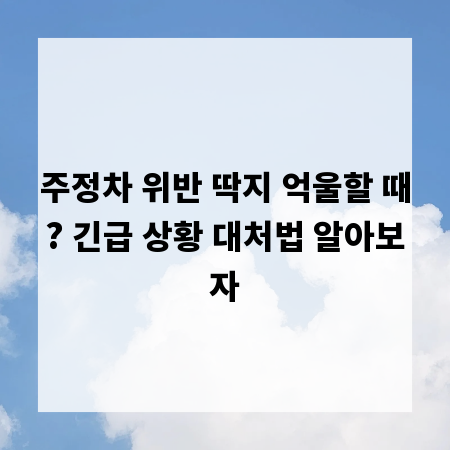주정차 위반 딱지 억울할 때? 긴급 상황 대처법 알아보자