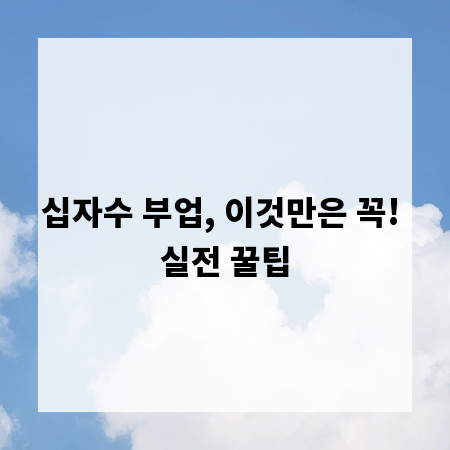 십자수 부업, 이것만은 꼭! 실전 꿀팁