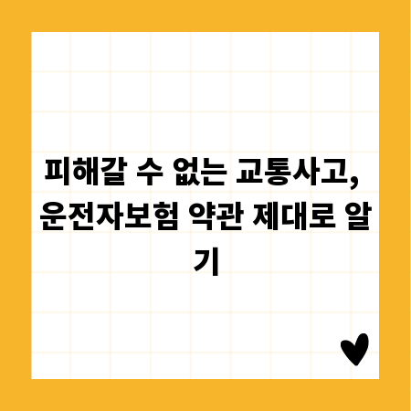 피해갈 수 없는 교통사고, 운전자보험 약관 제대로 알기