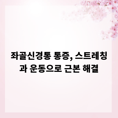 좌골신경통 통증, 스트레칭과 운동으로 근본 해결