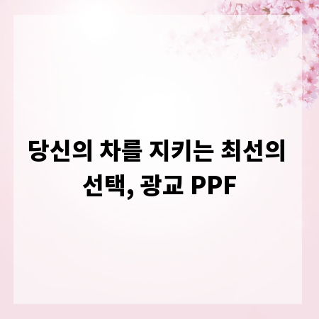 당신의 차를 지키는 최선의 선택, 광교 PPF