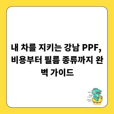 내 차를 지키는 강남 PPF, 비용부터 필름 종류까지 완벽 가이드