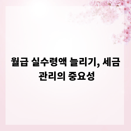 월급 실수령액 늘리기, 세금 관리의 중요성