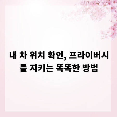 내 차 위치 확인, 프라이버시를 지키는 똑똑한 방법