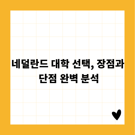 네덜란드 대학 선택, 장점과 단점 완벽 분석