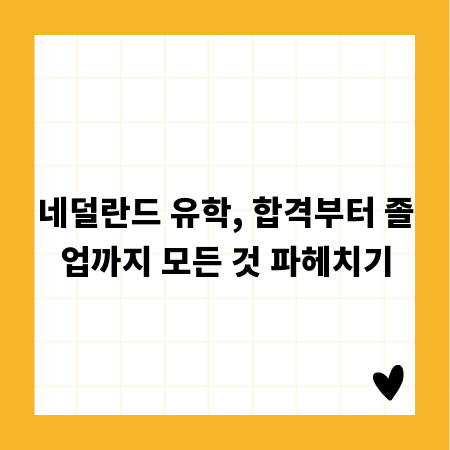 네덜란드 유학, 합격부터 졸업까지 모든 것 파헤치기