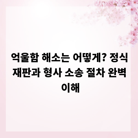 억울함 해소는 어떻게? 정식재판과 형사 소송 절차 완벽 이해