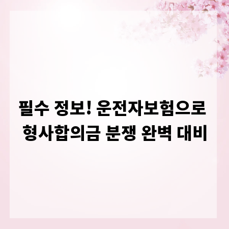 필수 정보! 운전자보험으로 형사합의금 분쟁 완벽 대비